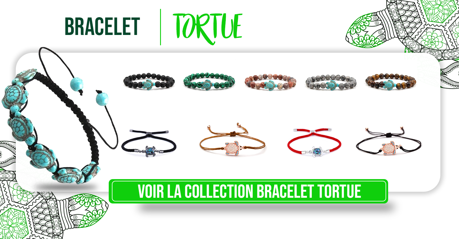 Accessoire-pour-tortue