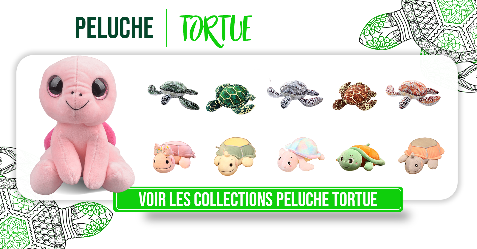 Tortue-douceur