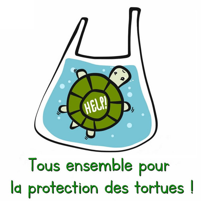 Protection-des-tortues-alligator