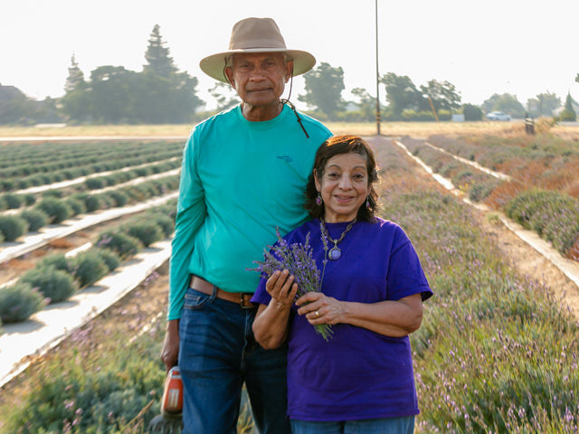 Kaliyaana Lavender Field.jpg__PID:24d271fc-f1ff-4e79-b41a-8e7e2802e39a