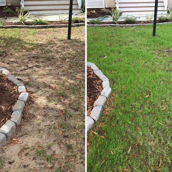 Lawnbright natural lawn care before and after