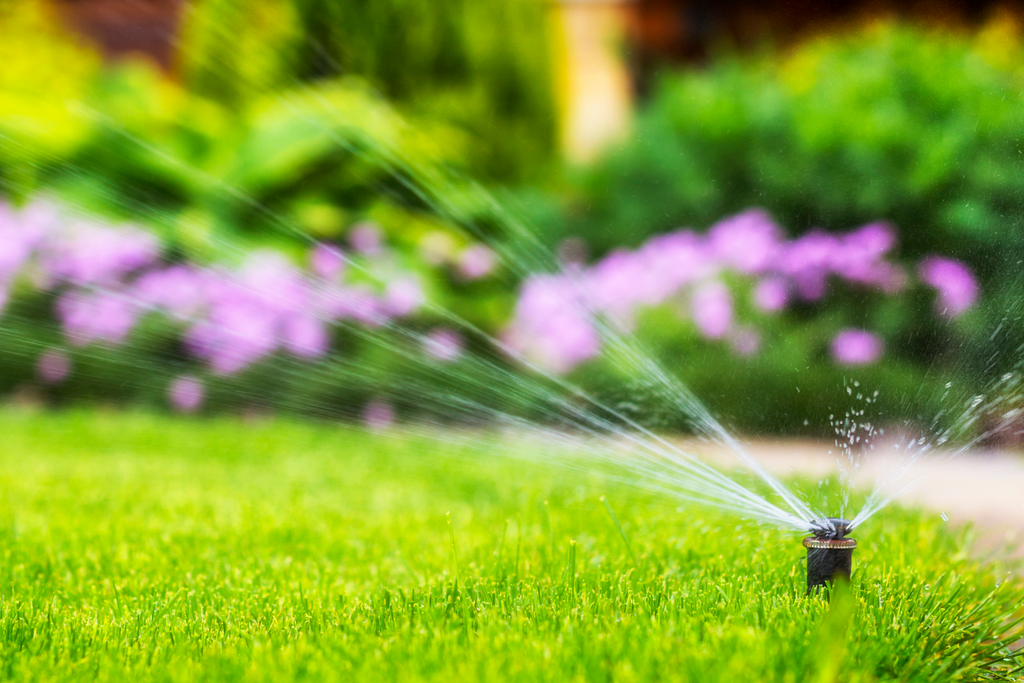 Lawn Watering Tips