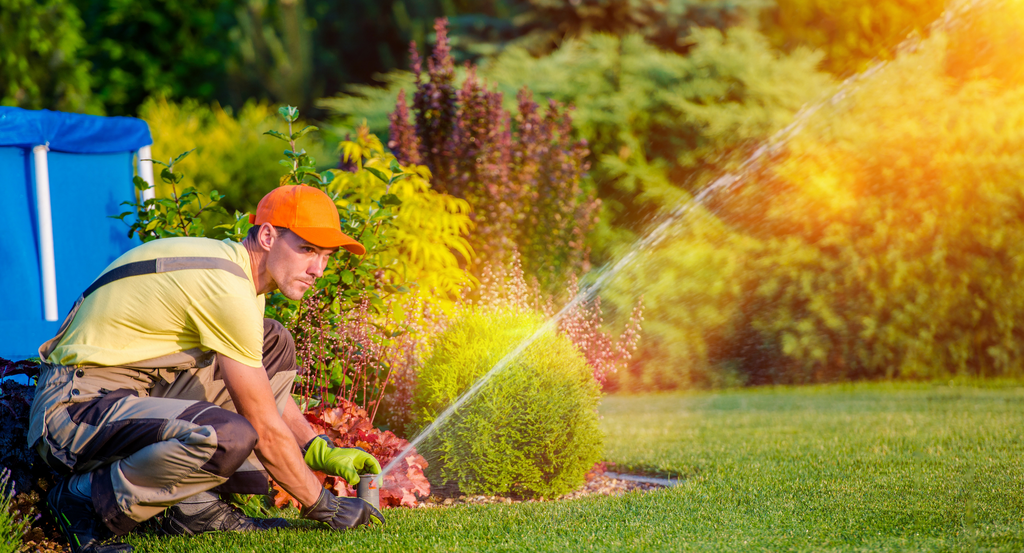 guide to the best lawn care companies