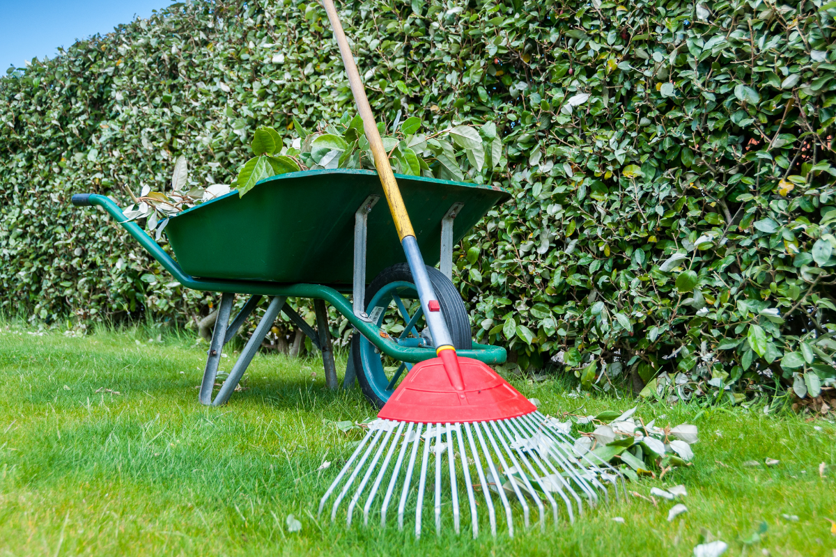 spring lawn care tips