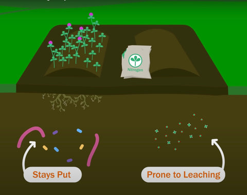 nitrogen fixation