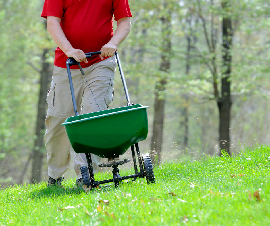 lawnbright seeding in spring instructions