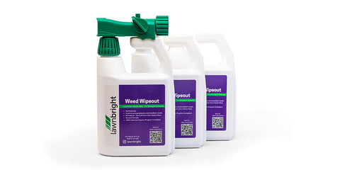 Three Lawnbright Weed Wipeout bottles with green spray nozzles arranged in a line, featuring purple labels.