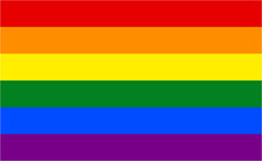 The Gay Pride Flag