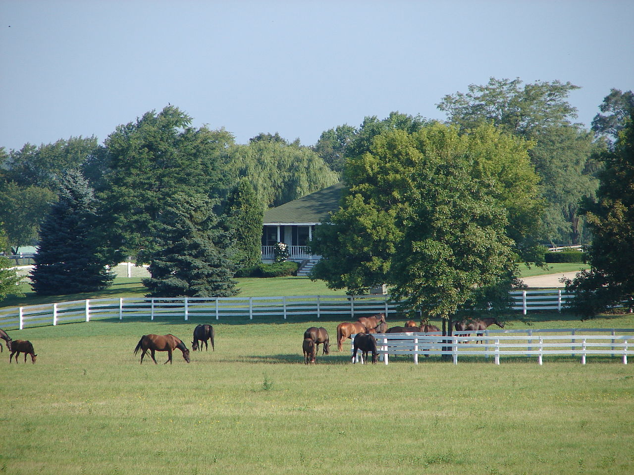 Haus and Hues in Barrington Hills