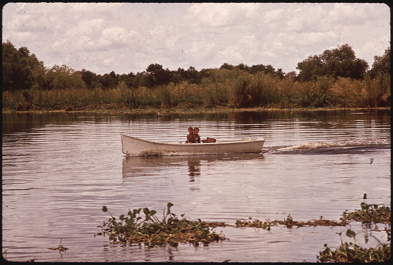 Haus and Hues in Bayou Gauche