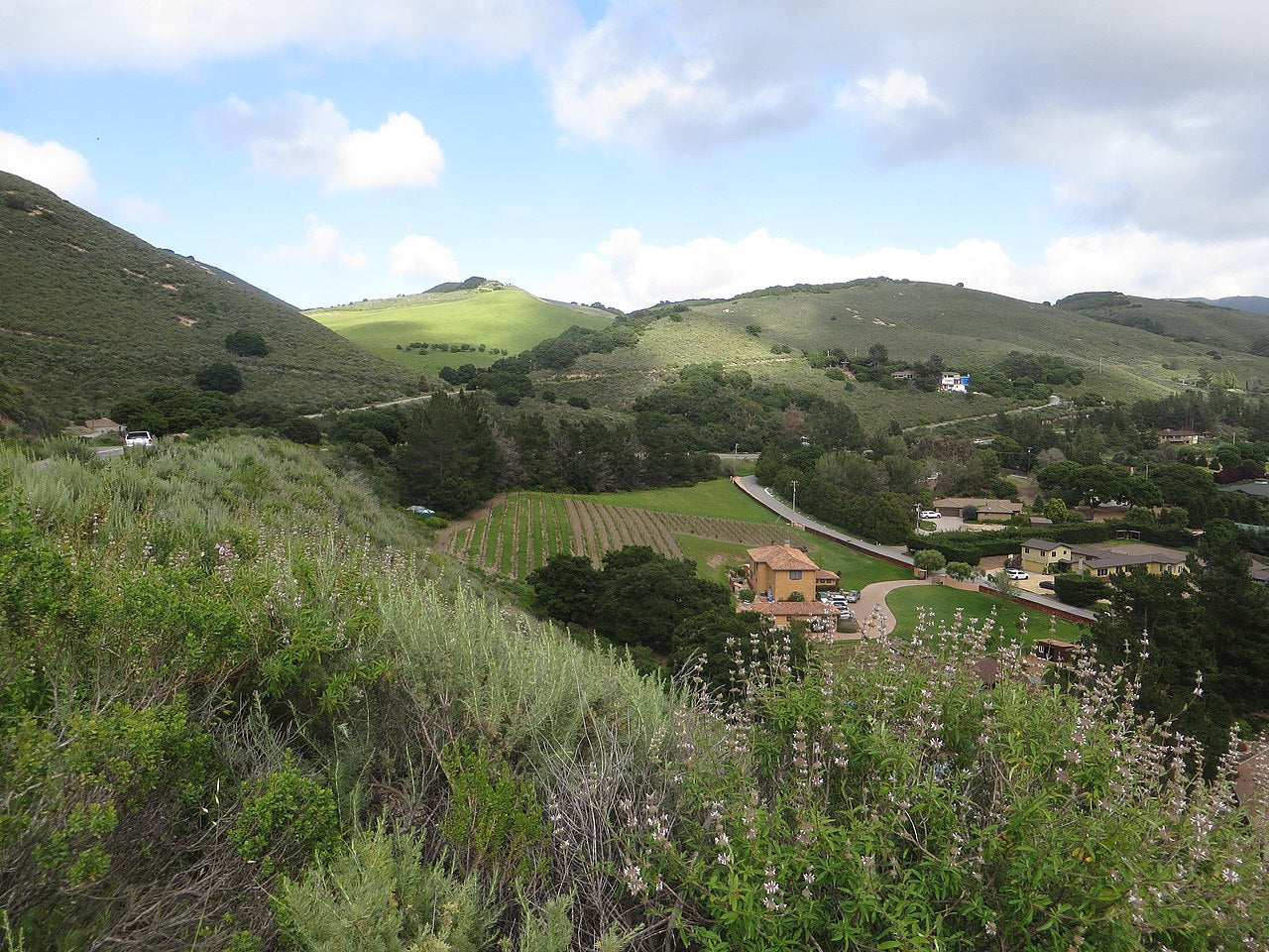 Haus and Hues in Carmel Valley Village