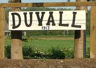 Haus and Hues in Duvall