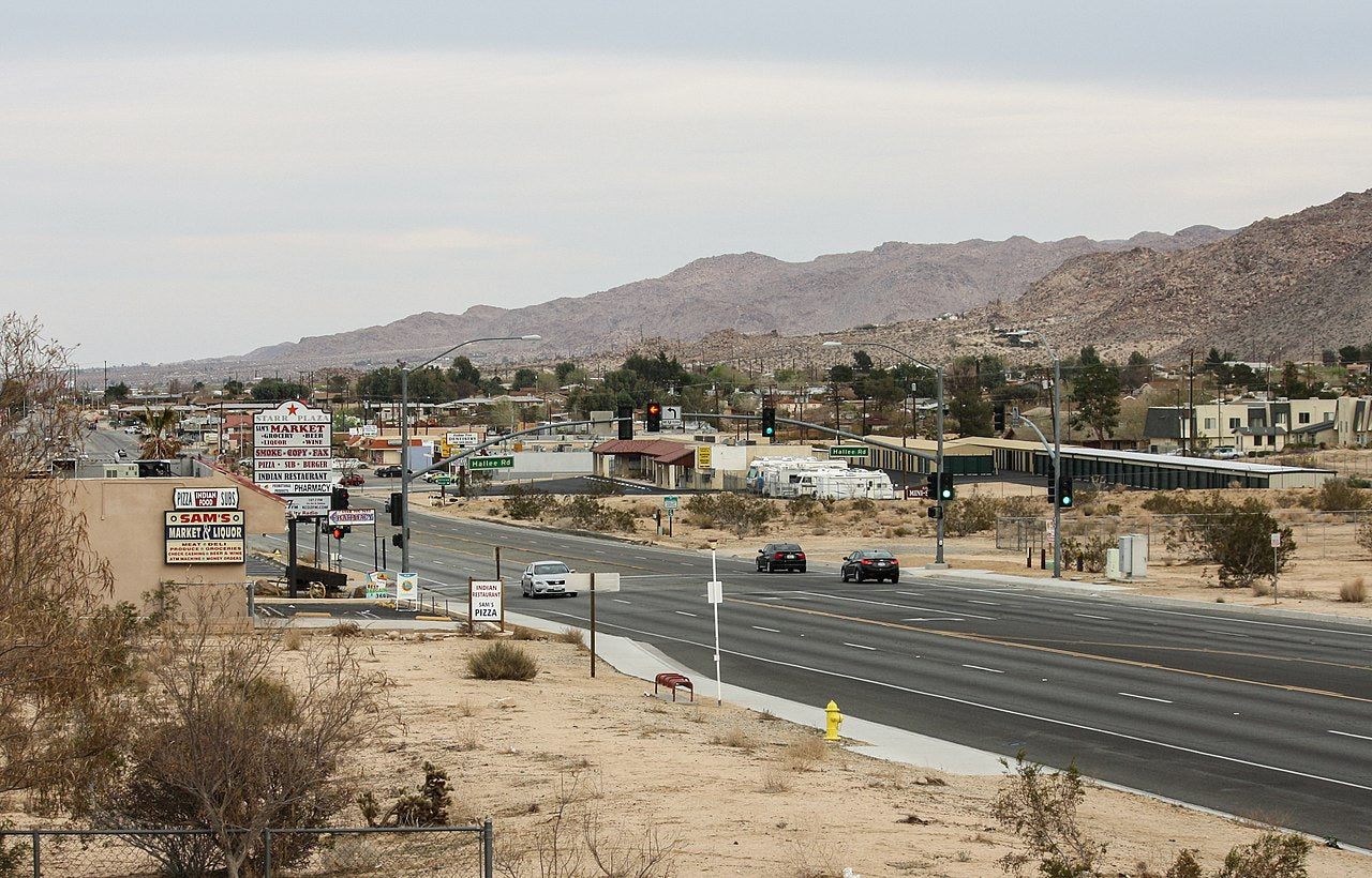 Haus and Hues in Joshua Tree