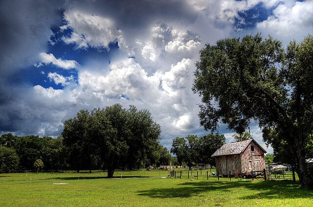 Haus and Hues in Lacoochee