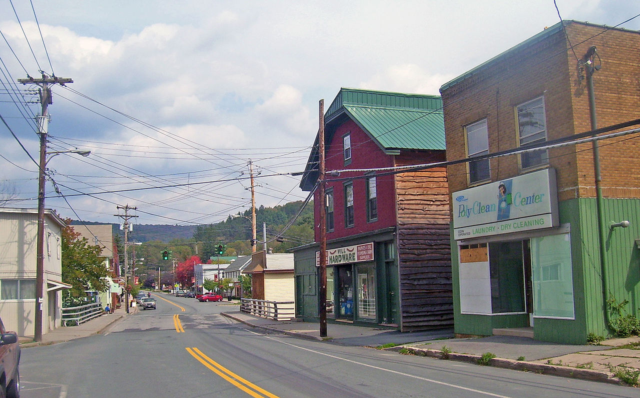 Haus and Hues in Livingston Manor