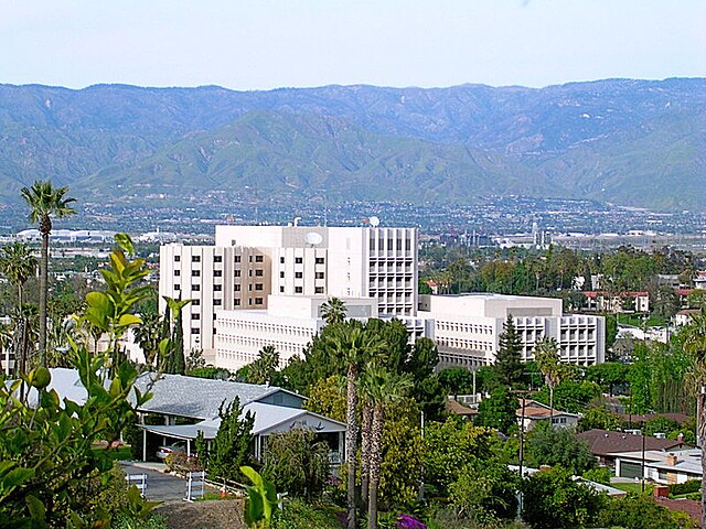 Haus and Hues in Loma Linda