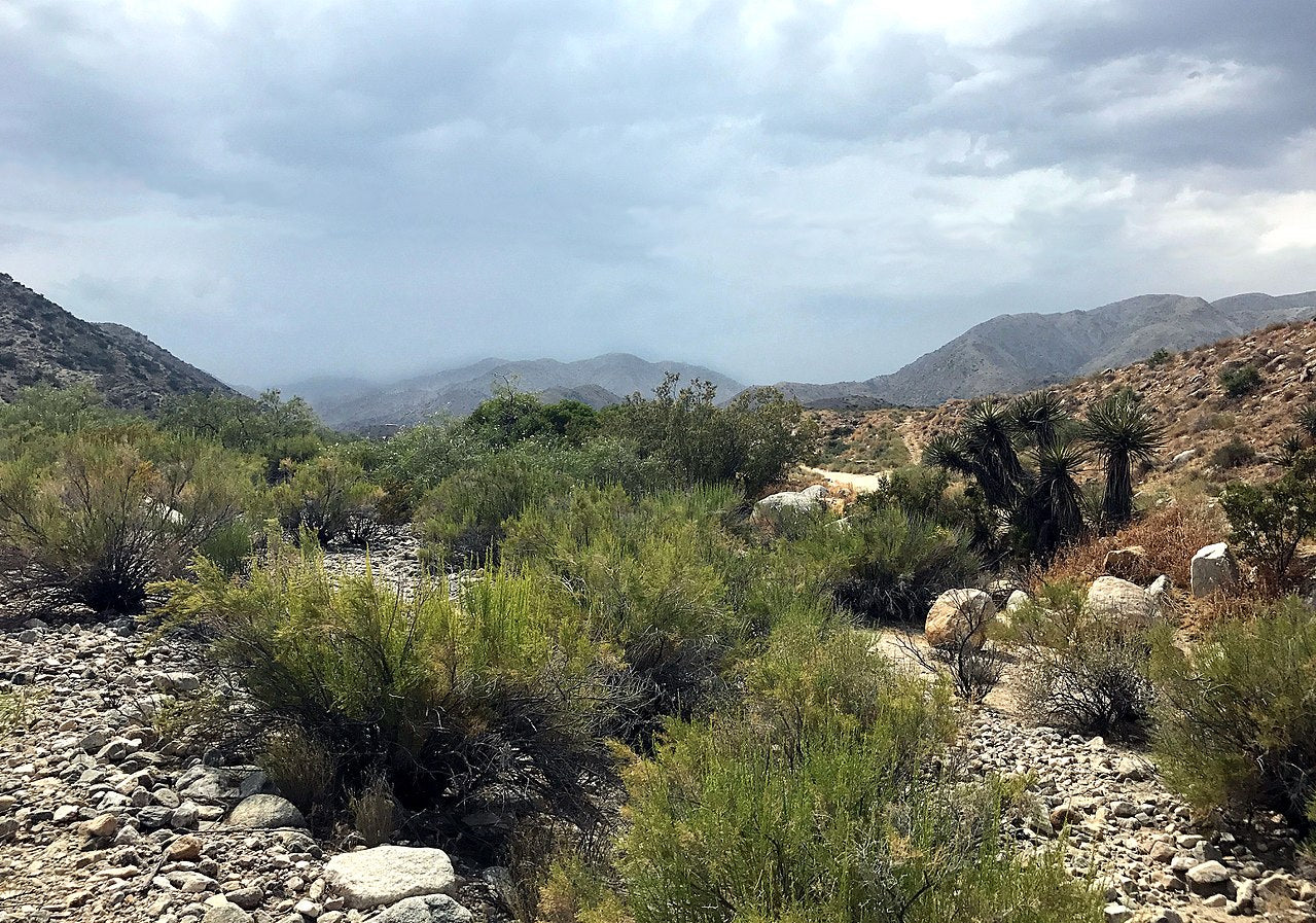 Haus and Hues in Morongo Valley