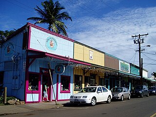 Haus and Hues in Paia