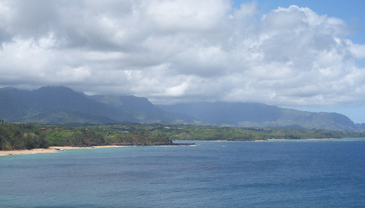 Haus and Hues in Princeville