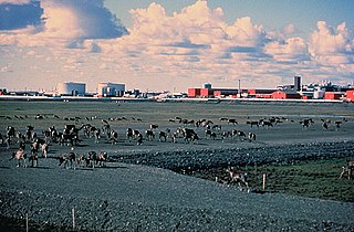 Haus and Hues in Prudhoe Bay
