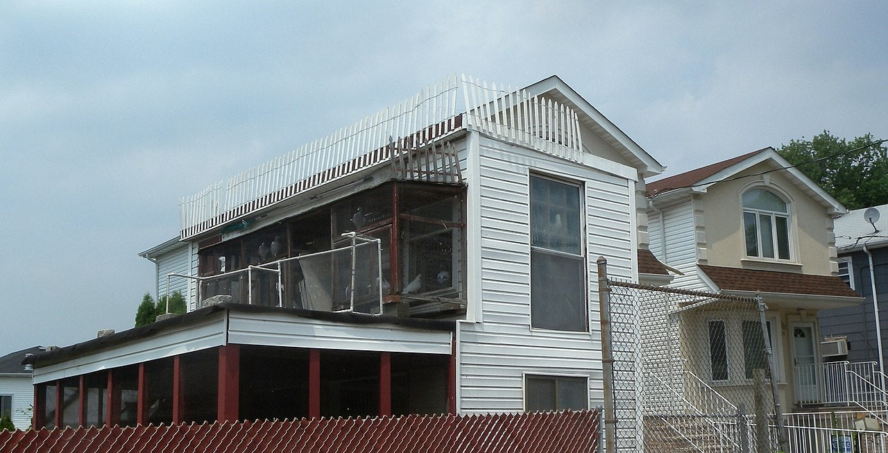 Haus and Hues in Rosebank