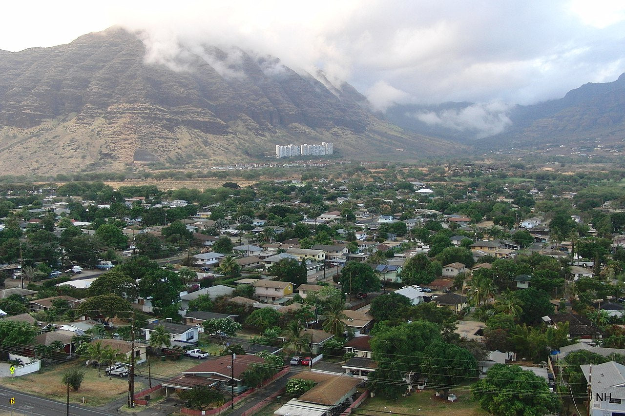 Haus and Hues in Waianae