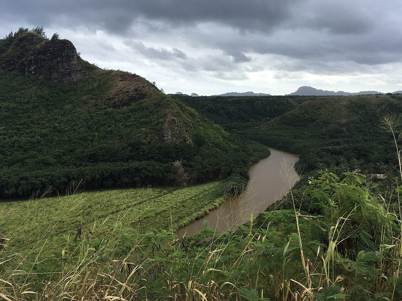 Haus and Hues in Wailua Homesteads