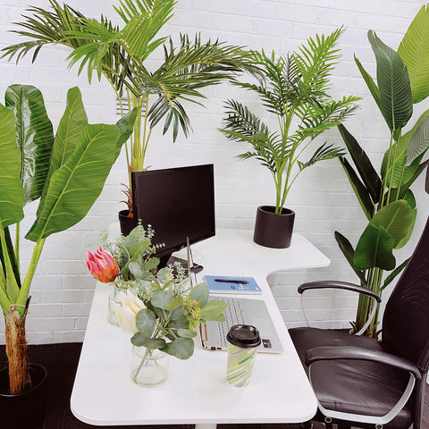 Artificial palm and plants in commercial office property