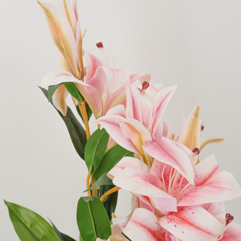 https://www.hgdco.com.au/products/artificial-flower-in-white-pot-pink-white-oriental-lily-90cm