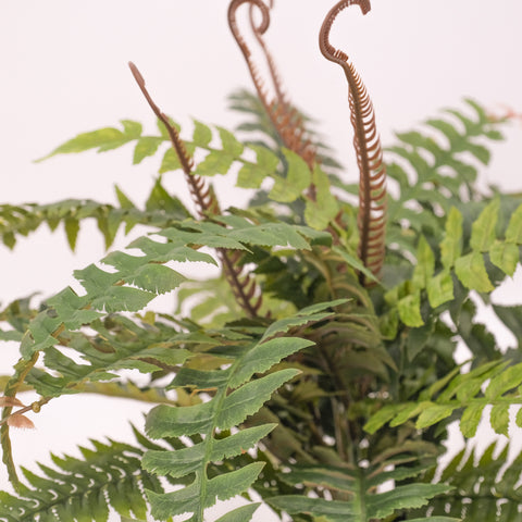 Artificial Fern