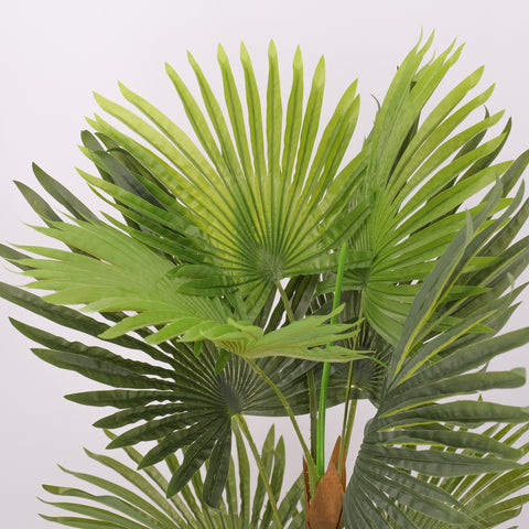 Artificial Plant - Fan Palm