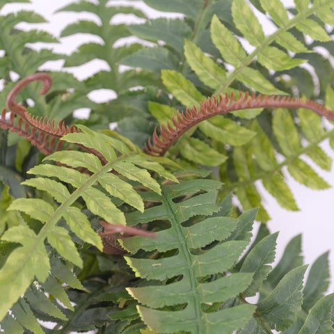 Close up detail of artificial Boston fern plant