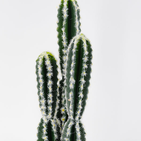 60cm Artificial Cactus – Home & Garden Decor