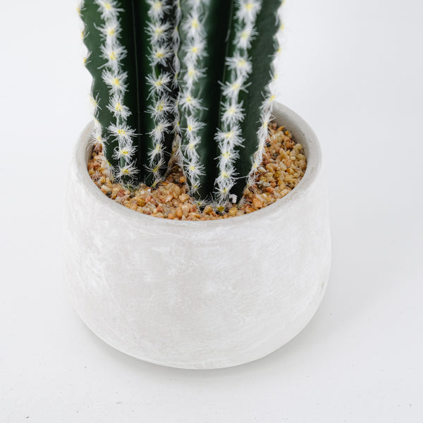 60cm Artificial Cactus – Home & Garden Decor