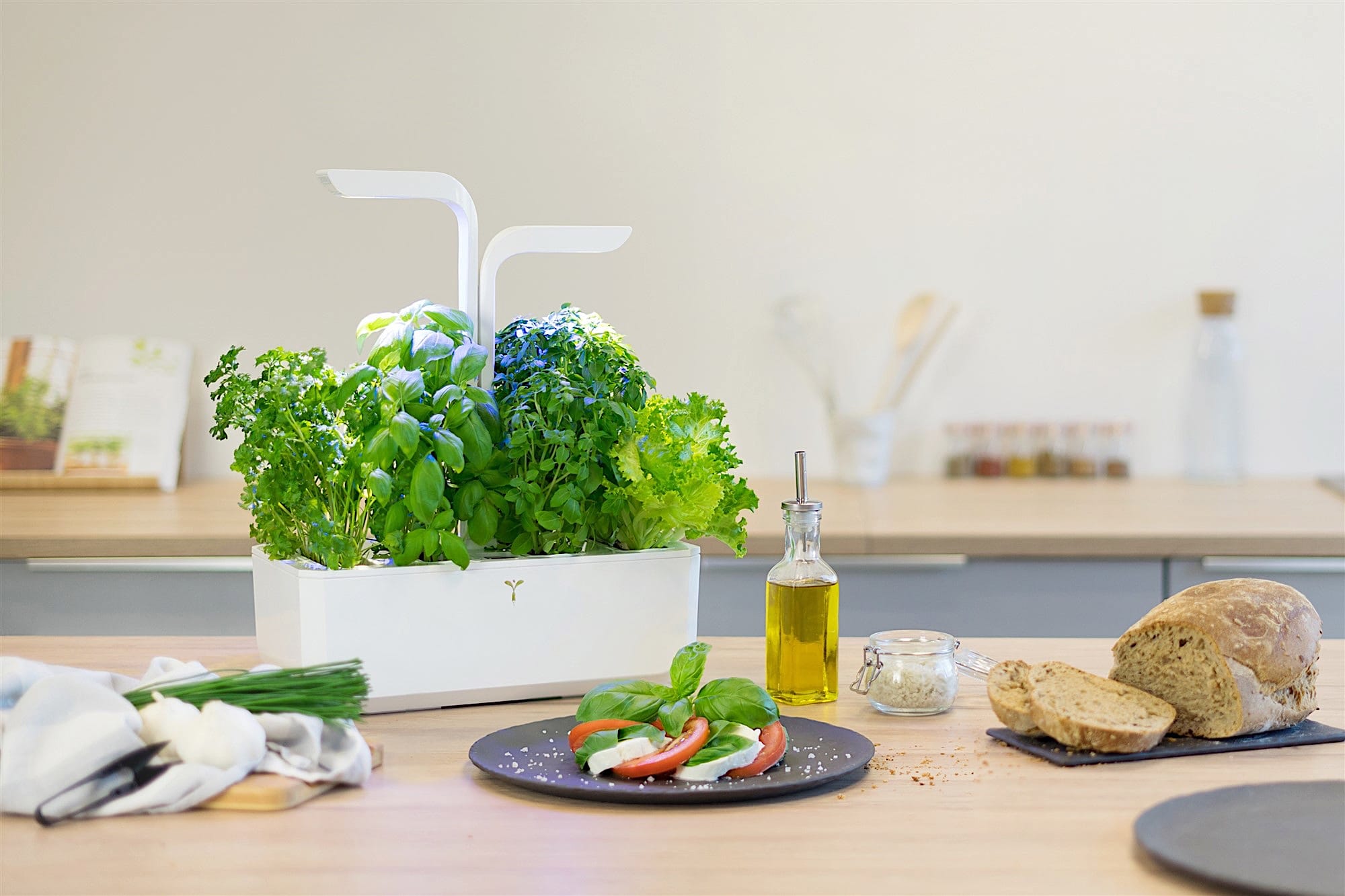 Herb and Veggie Flowerpot Bread