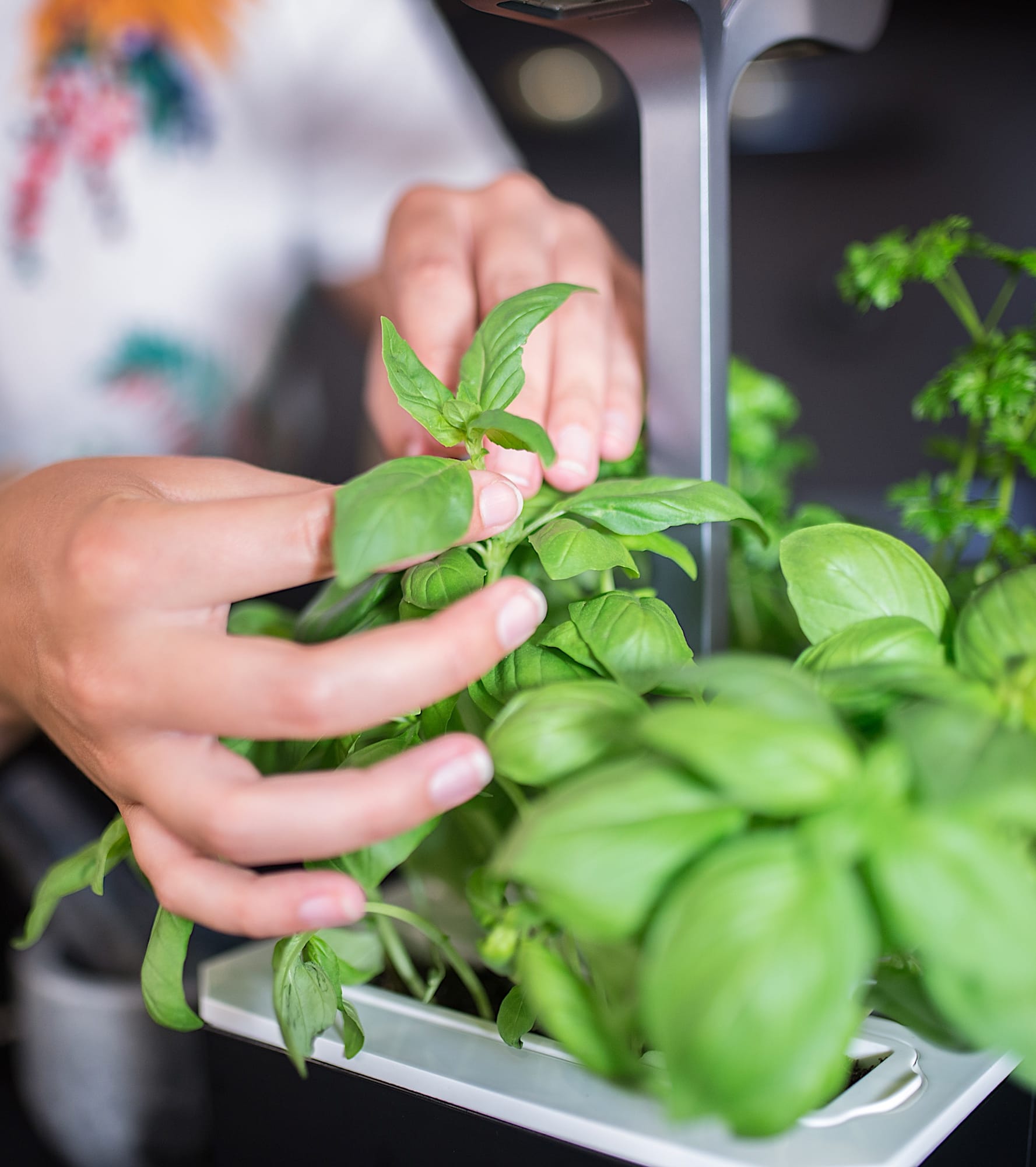 Véritable - Potager de cuisine - Exky Classic blanc + 2 Lingots