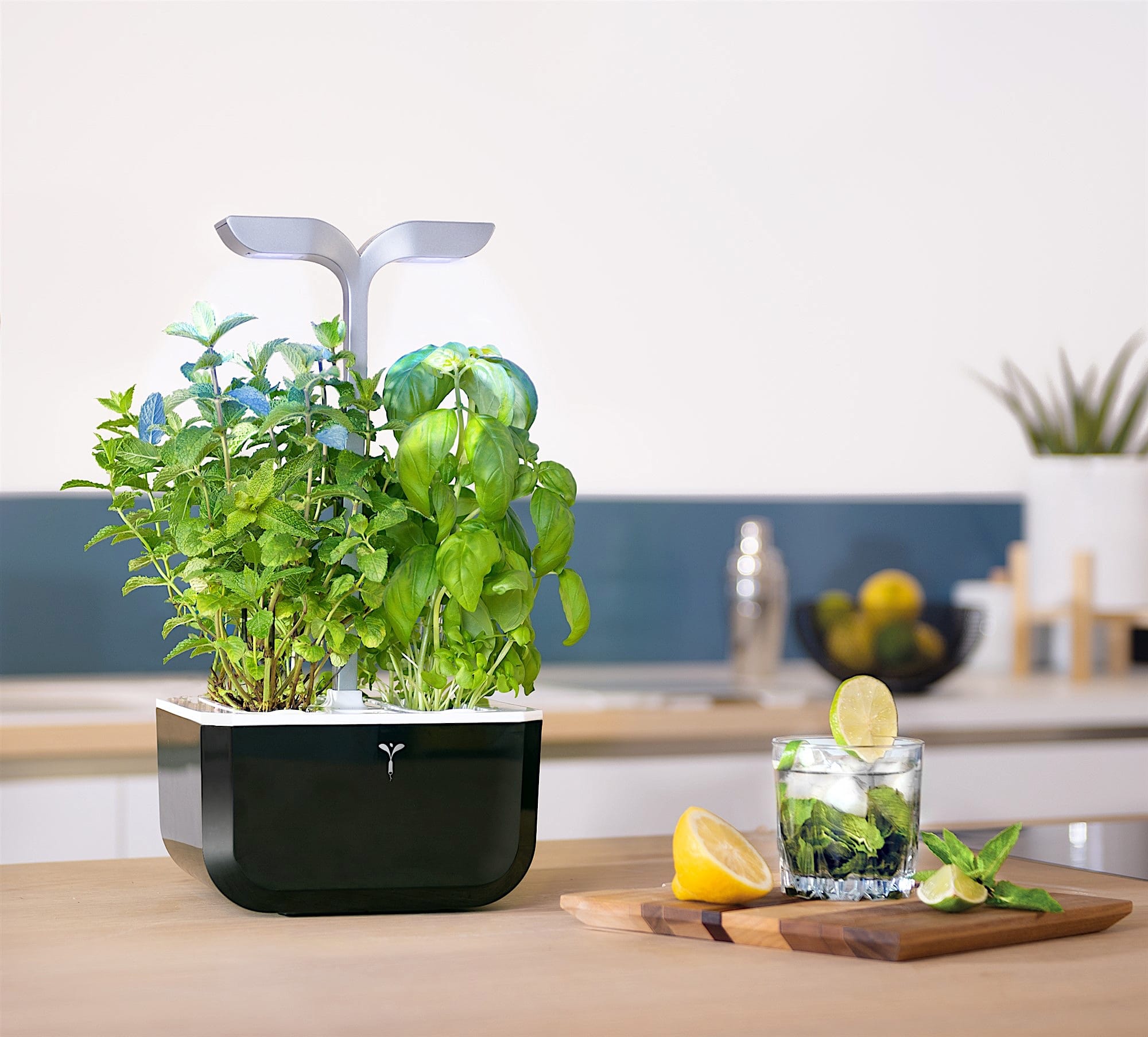 Exky® SMART Garden