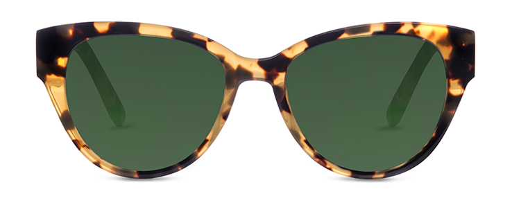 Finlay Henrietta Light Tortoise Sunglasses