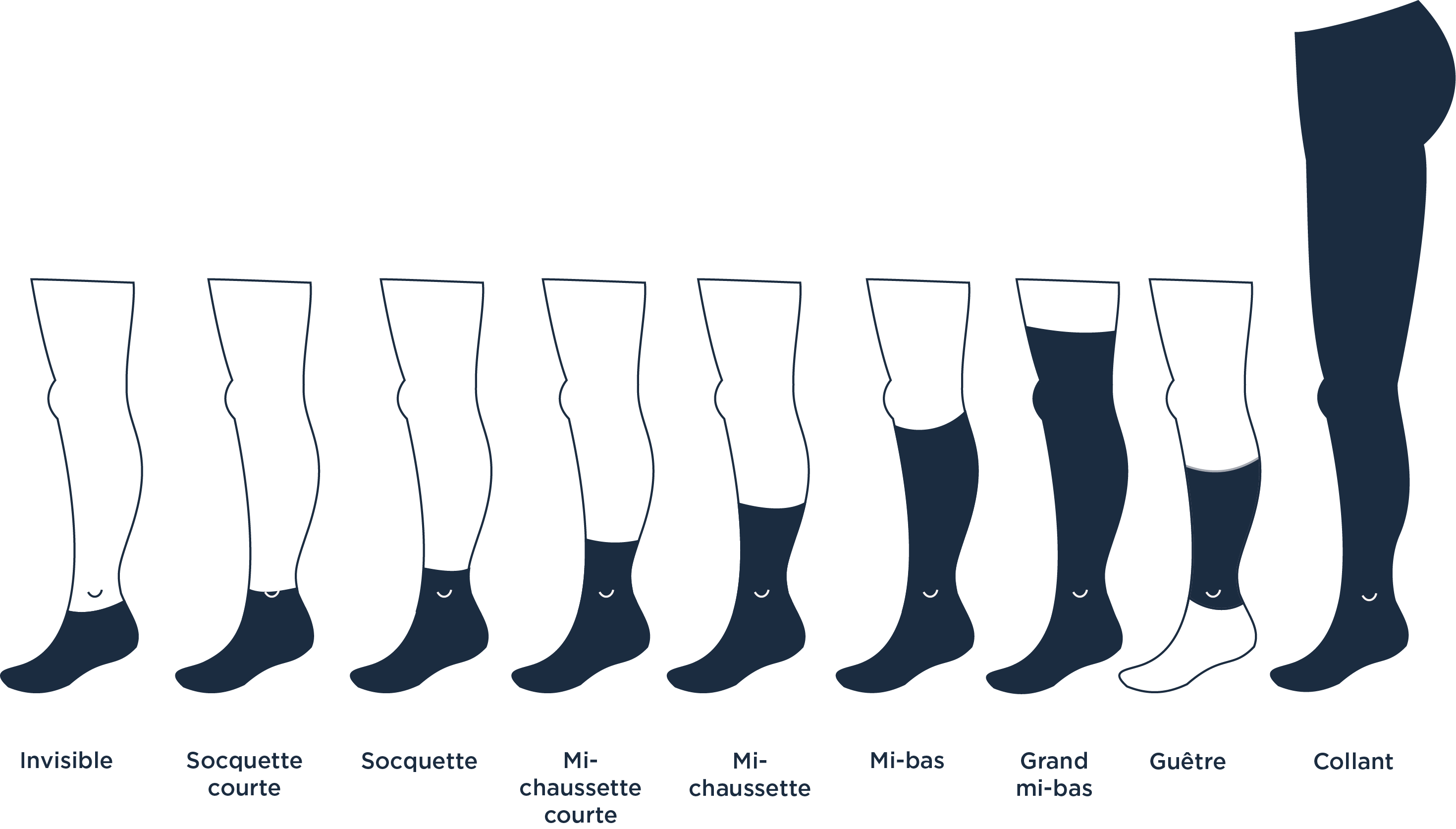 Toutes les hauteurs de chaussettes