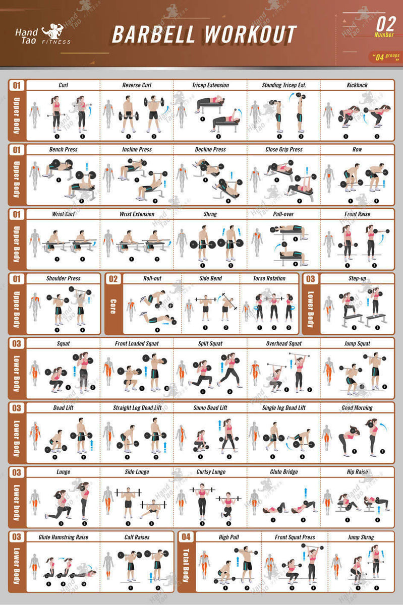 Barbell Workout Exercise Poster Bodybuilding Guide Fitness Gym Chart