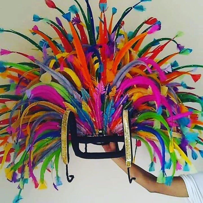 Plumas Rainha Maior freeshipping - BrazilCarnivalShop