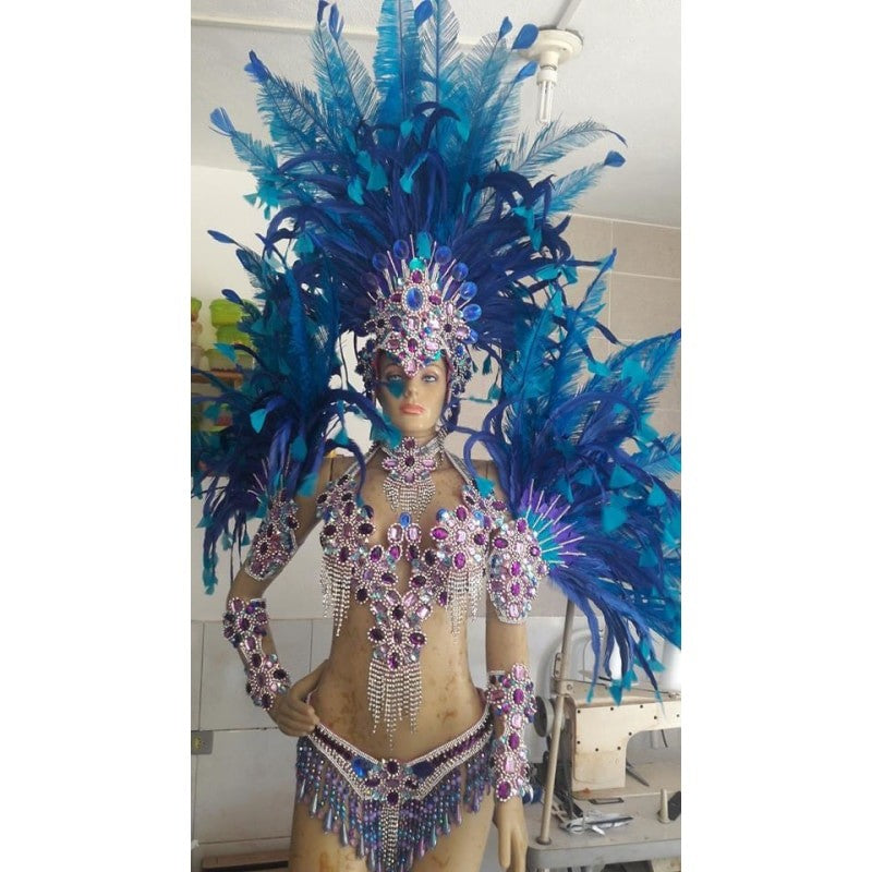 Blue Delight Samba Complete 10 Piece Costume