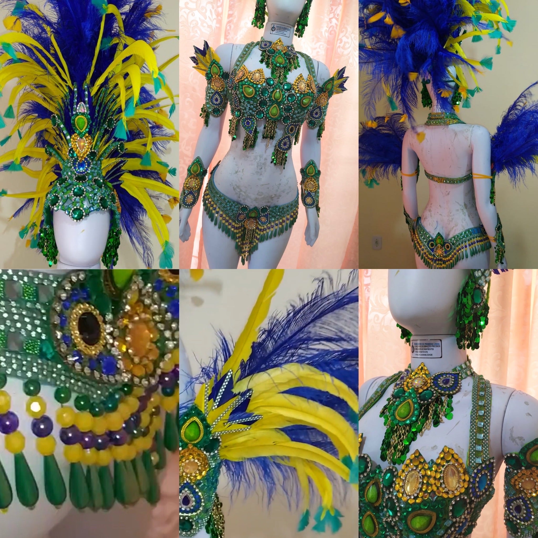 ZUCKER Feather Brazil Carnival Costume Samba Wing Set - Blue/Green  Mardi-Gras Rio Parade Wear : : Clothing & Accessories