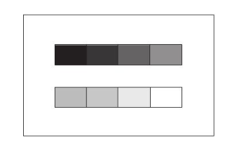 Luminance Testing Method