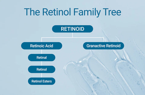 Retinoid Family explained