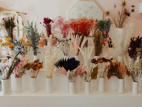 Online Dried Flowers Shop