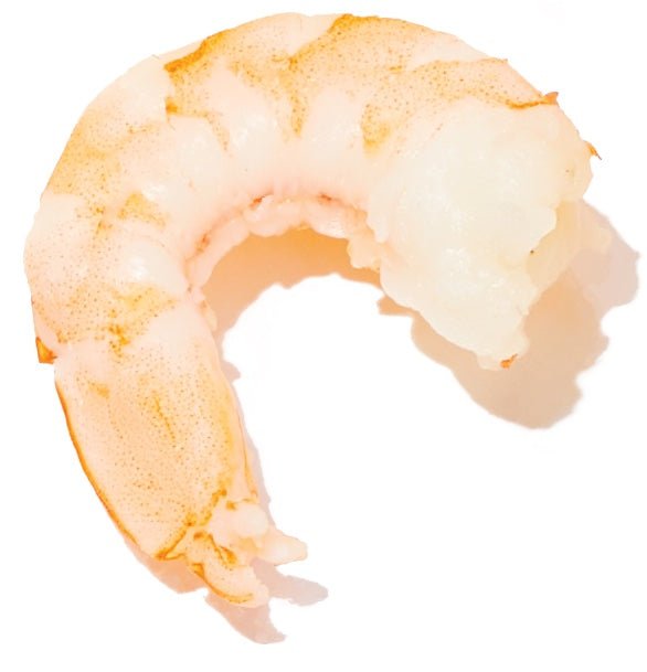 A single pink cooked shrimp