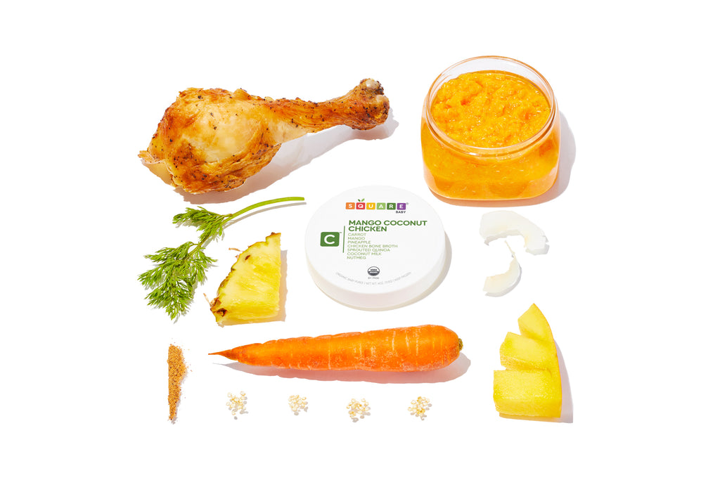 Square Baby Mango Coconut Chicken Puree Meal
