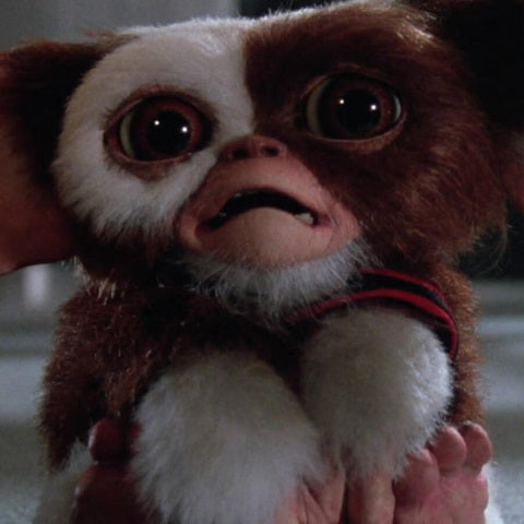 Gremlins film 1984