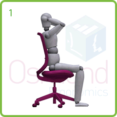 Seating Posture at Work